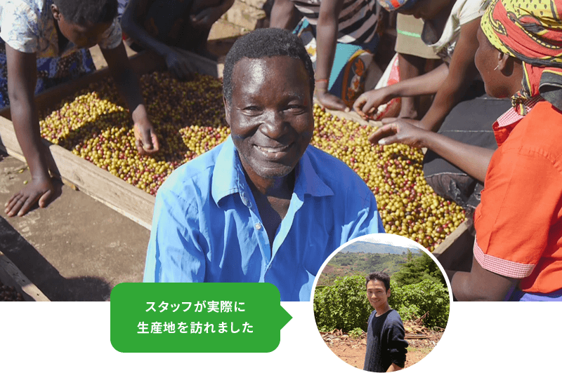 アフリカ・マラウイのコーヒー生産地